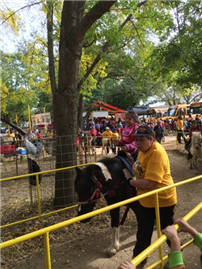 Flushing for Pumpkins 4
