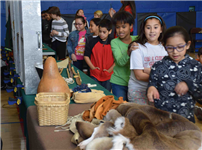 AMERICAN TERRITORY.2