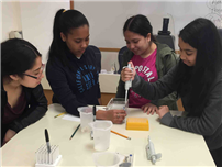 DODD DABBLES WITH DNA