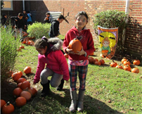 Pumpkin Garden
