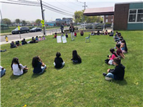 Around The Butterflies