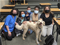 Students Teachers Dog