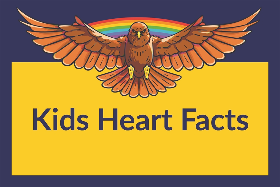 This is the image for the news article titled Kids Heart Facts