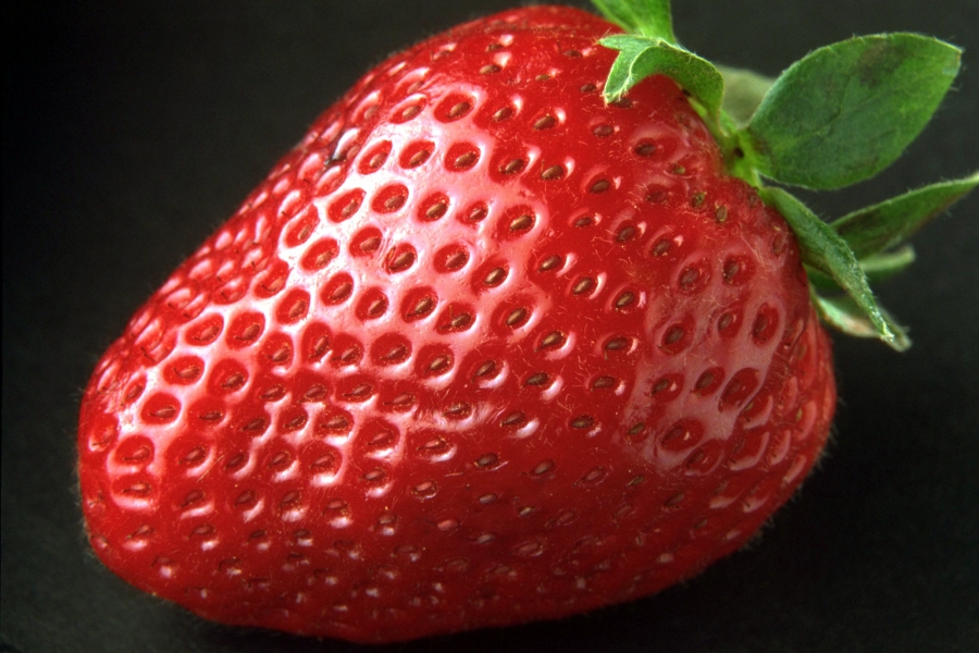 strawberry