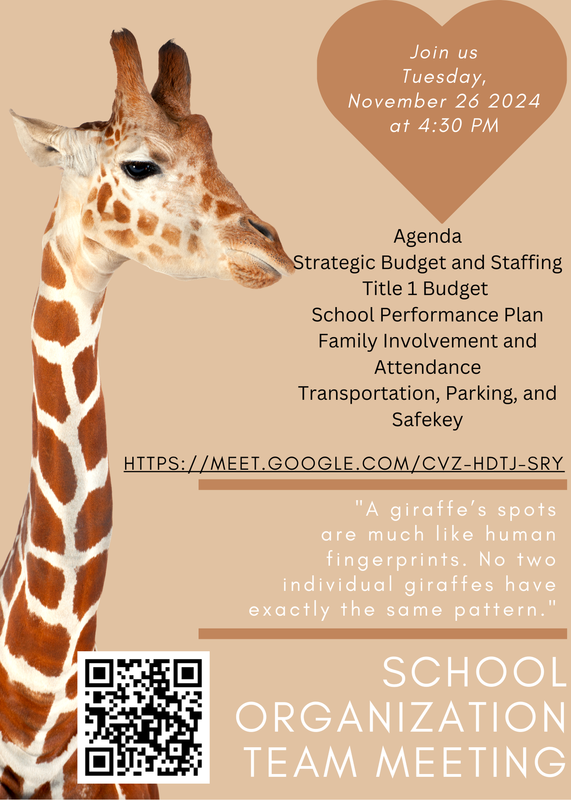 November 26th 2024 S.O.T