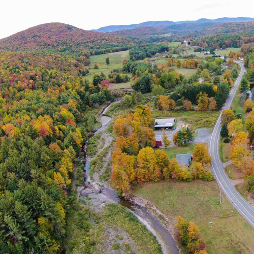 an areal shot of the fall leaves