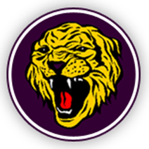 gilboa conesville tiger logo