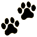 paws