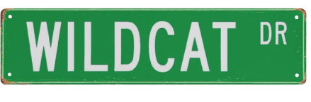  Wildcat Drive 