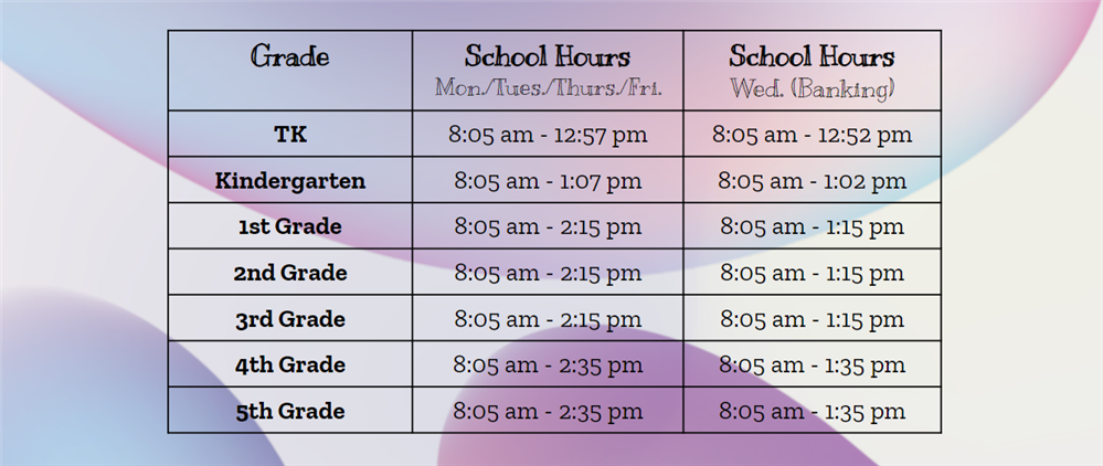 Daily Schedule