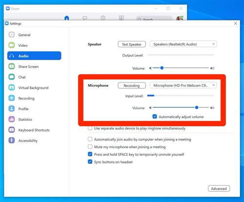 Zoom Microphone Settings 