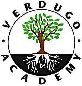 Verdugo Academy Logo 