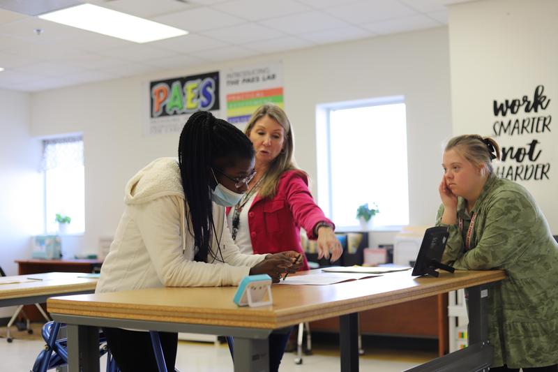 A PAES lab student participates in one of the classroom\'s work activities.