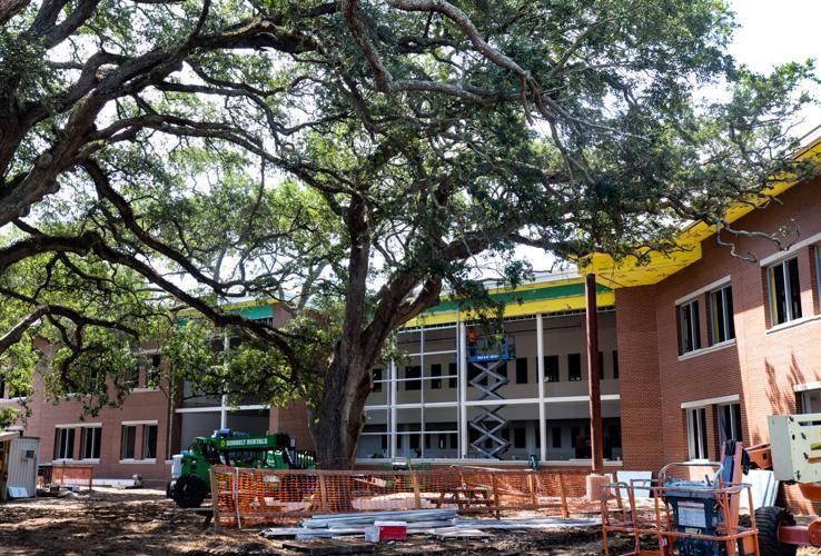The big live oaks will stand on what will become the playground in front of the addition to St.Simons Elementary.