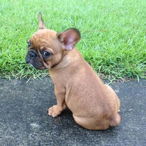 LeslieScarboro's Profile Photo