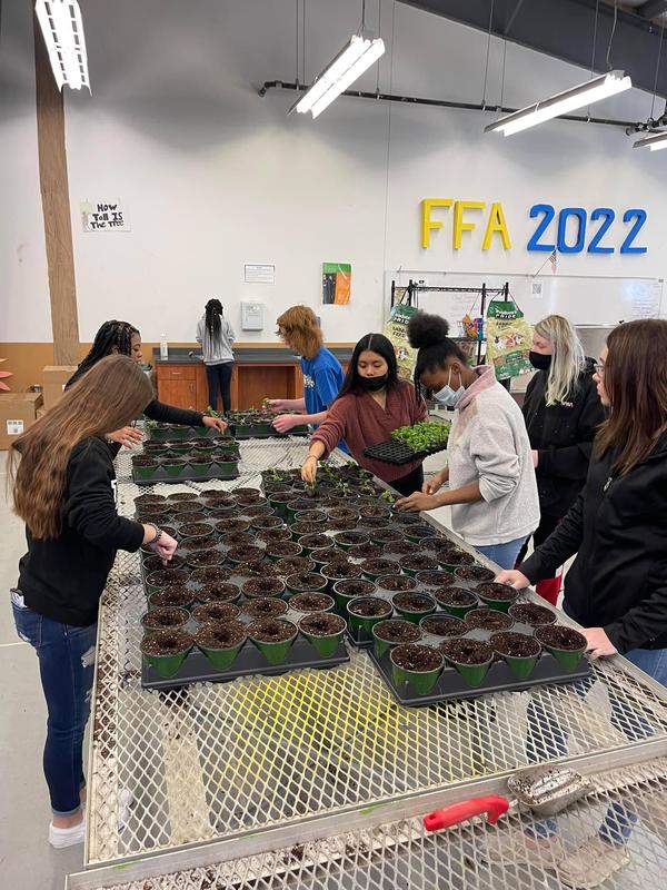 GICCA students transfer plants to pots for upcoming spring sale.