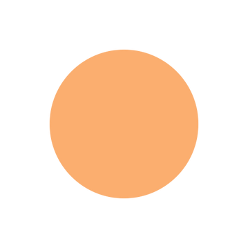 orange circle.png