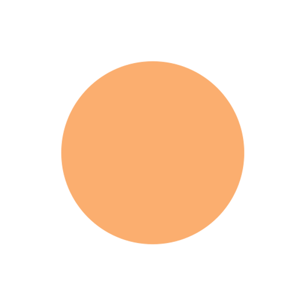 orange circle.png