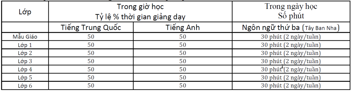 Chinese & English+ Program
