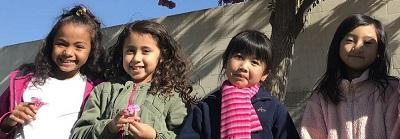 Chinese-English Dual Language Plus