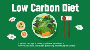 The Low Carbon Diet