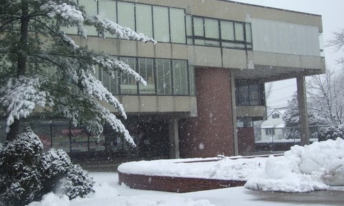 Parker in the Winter 