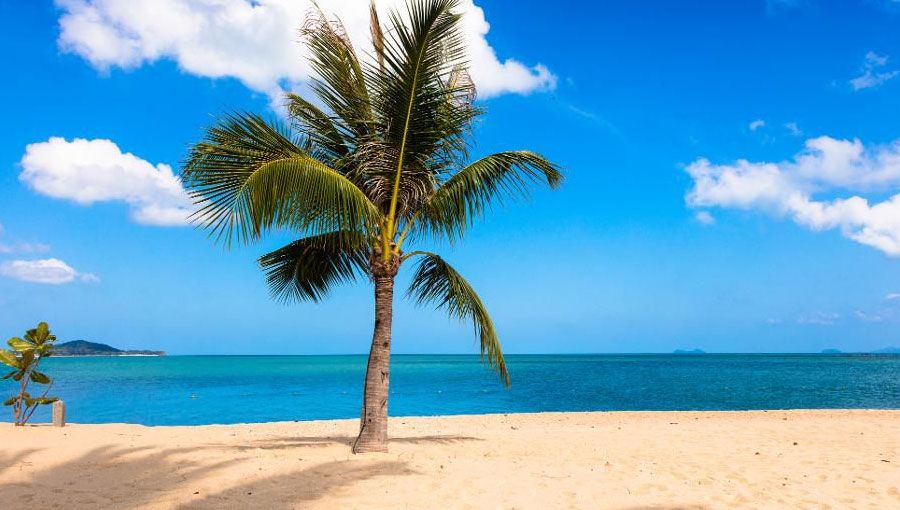 The Best Caribbean Beaches For 2019: The Ultimate List | Caribbean ...