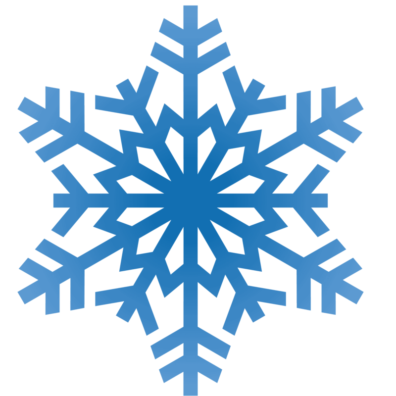 The photo is of a blue clip art snowflake with 12 arms. The arms have one or two branches off of them in an alternating pattern