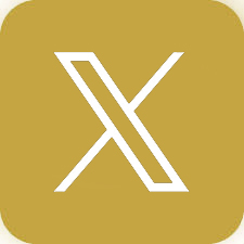 x logo