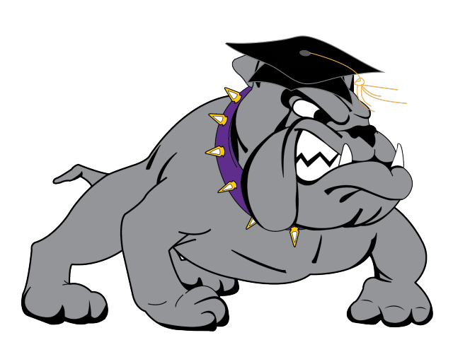 Bulldog with Cap