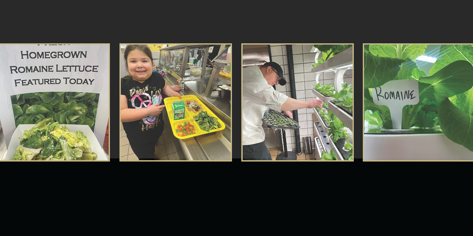 Four images of hydroponic program