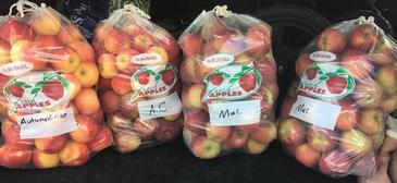 Students Preparing Apple Pies Ahead of Apple Festival