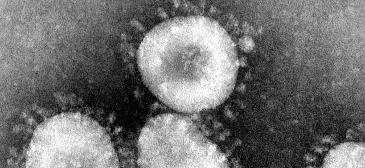 Coronavirus Information for Parents