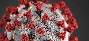 Coronavirus Update March 15, 2020