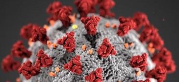 COVID 19 Update March 16, 2020