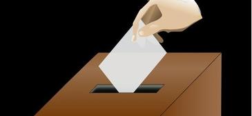 Live Stream of Ballot Count