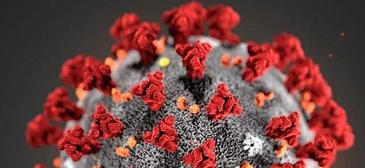 COVID 19 Testing Available for Students and Staff