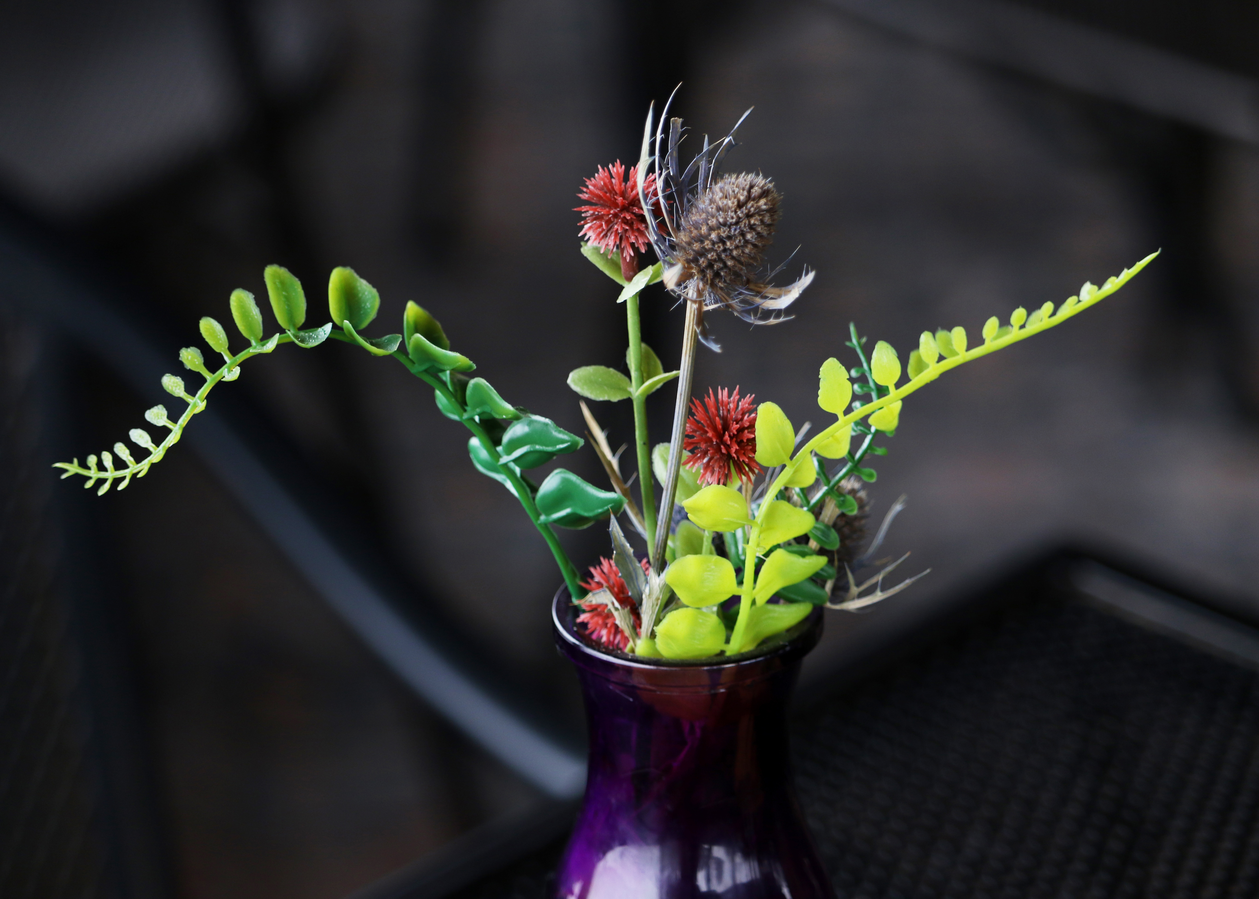 first place winner, district staff: autumn nowey (close-up picture of flower, black background)