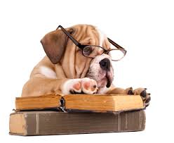  dog reading image