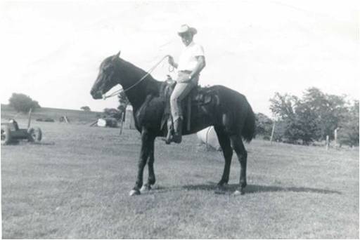 Bentley Horse