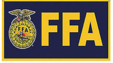 Image FFA logo