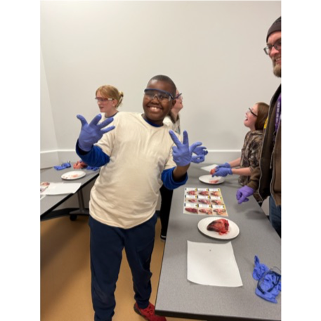 6th grade student ready to dissect a sheep heart 