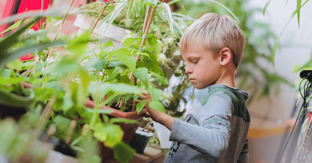 Students prep plant sale for new swings