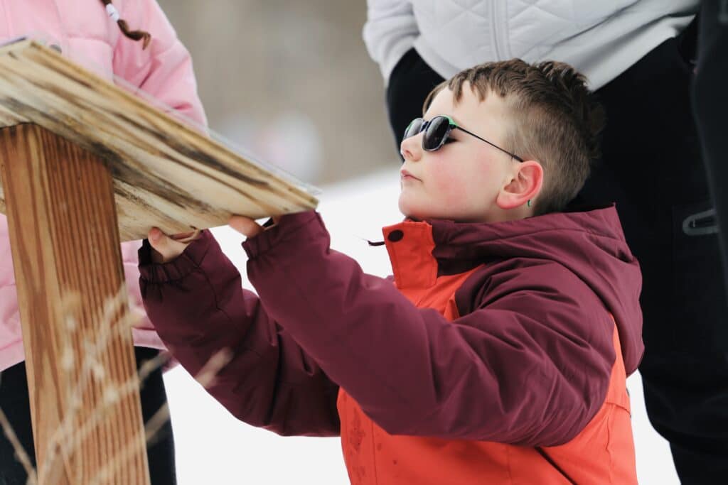 North Woods story walk