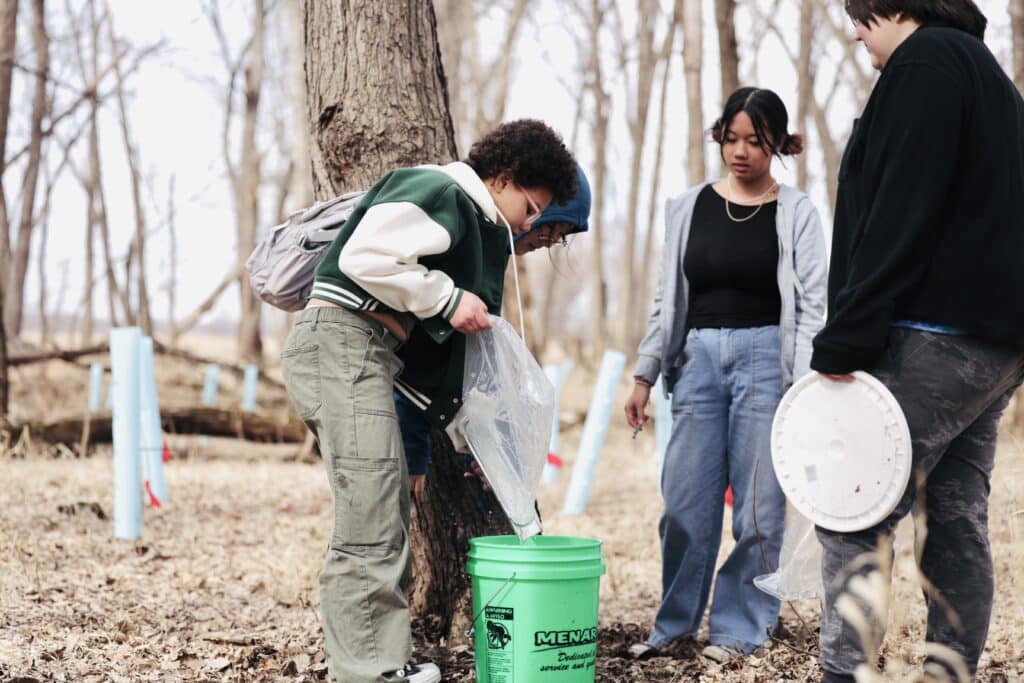 Longfellow sap harvest