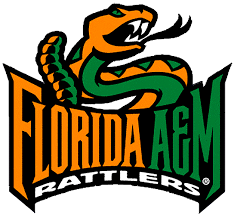 Image result for famu