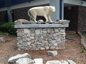 Cougar Statue outside main office