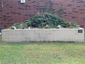 Planter outside 100 building