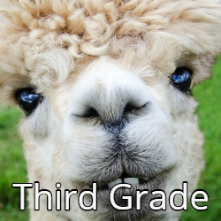 Third Grade