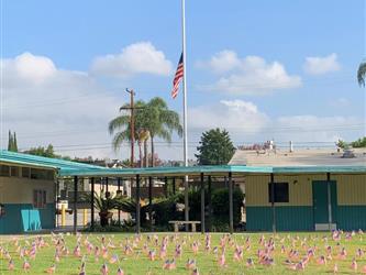 flag at half mast